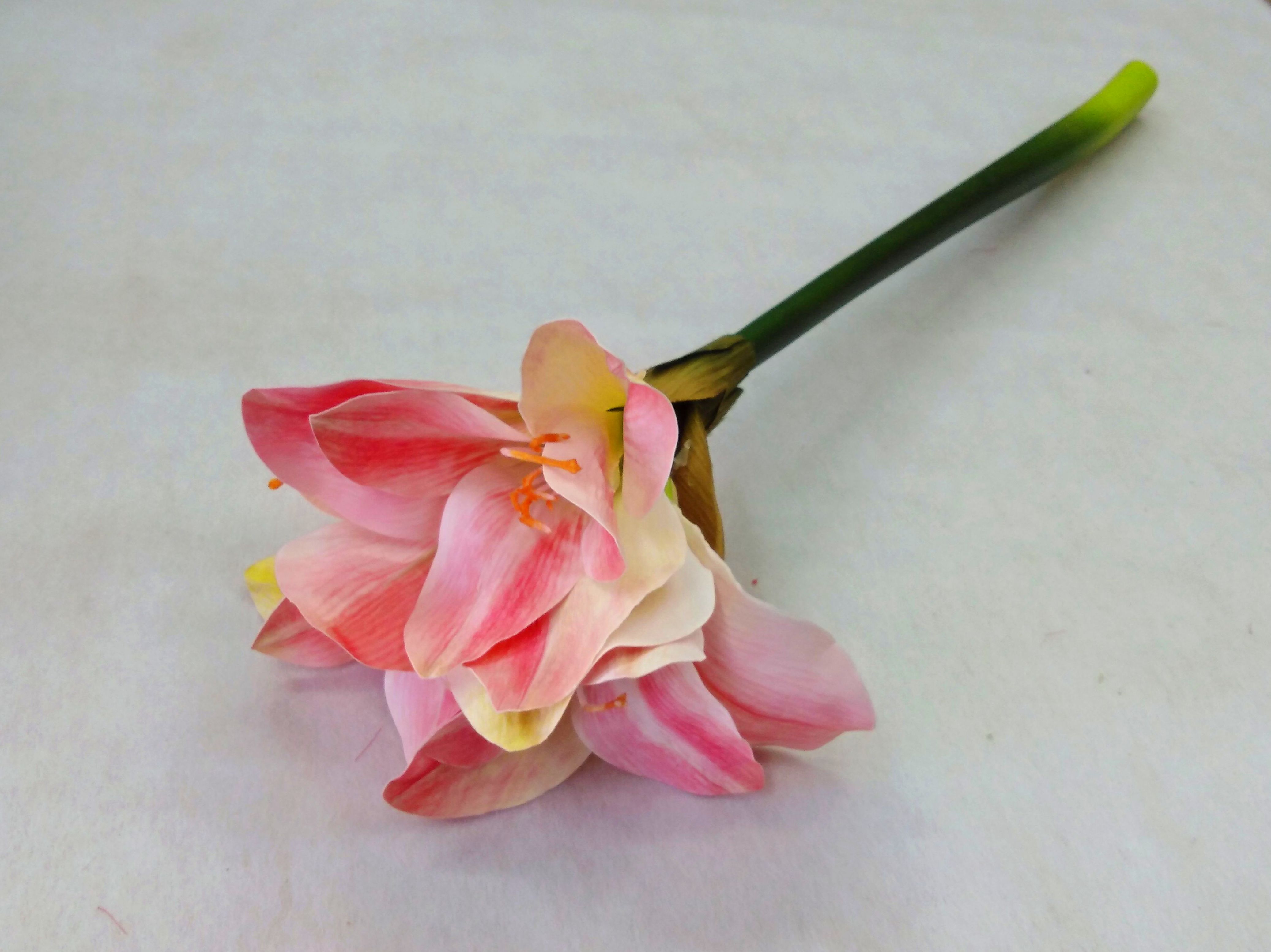 Amarilis tacto natural.(55 cm.)REF.: 24526 COLOR: Rosa PRECIO: 6,60 € Amarilis tacto natural.(55 cm.)REF.: 24526 COLOR: Rosa PRECIO: 6,60 €