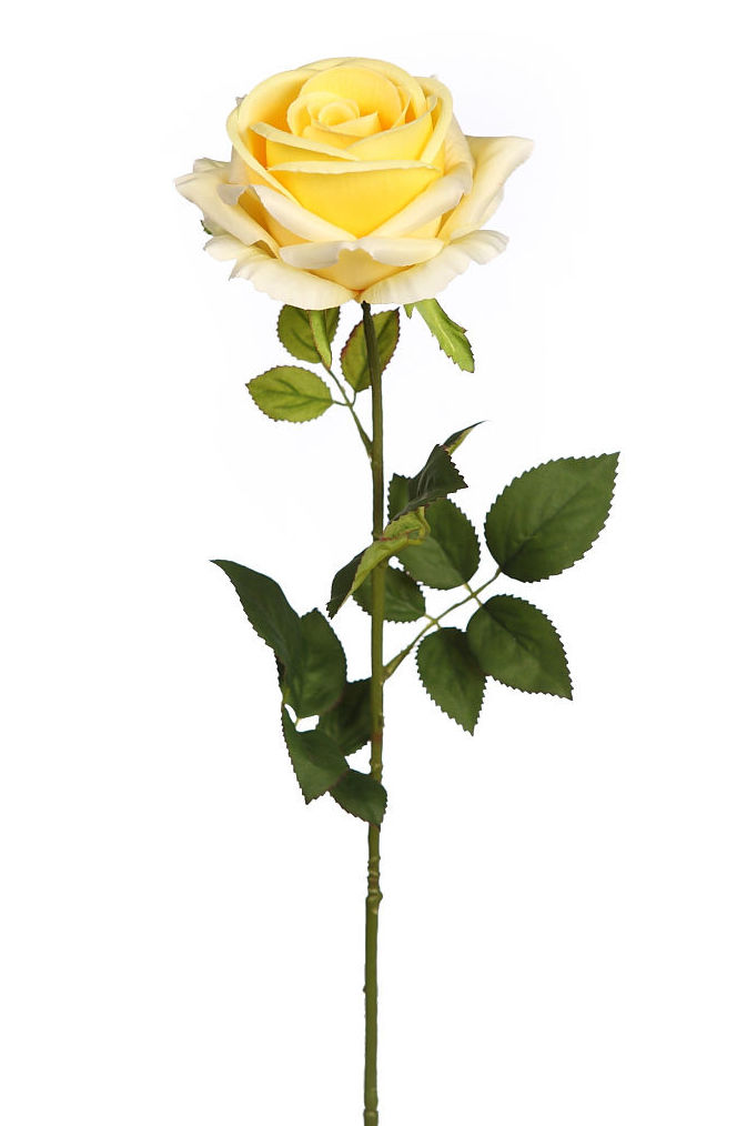 VARA DE ROSA ABIERTA (78CM)/ AMARILLO REF:AD0194.04 PRECIO: 1,60€ VARA DE ROSA ABIERTA (78CM)/ AMARILLO REF:AD0194.04 PRECIO: 1,60€