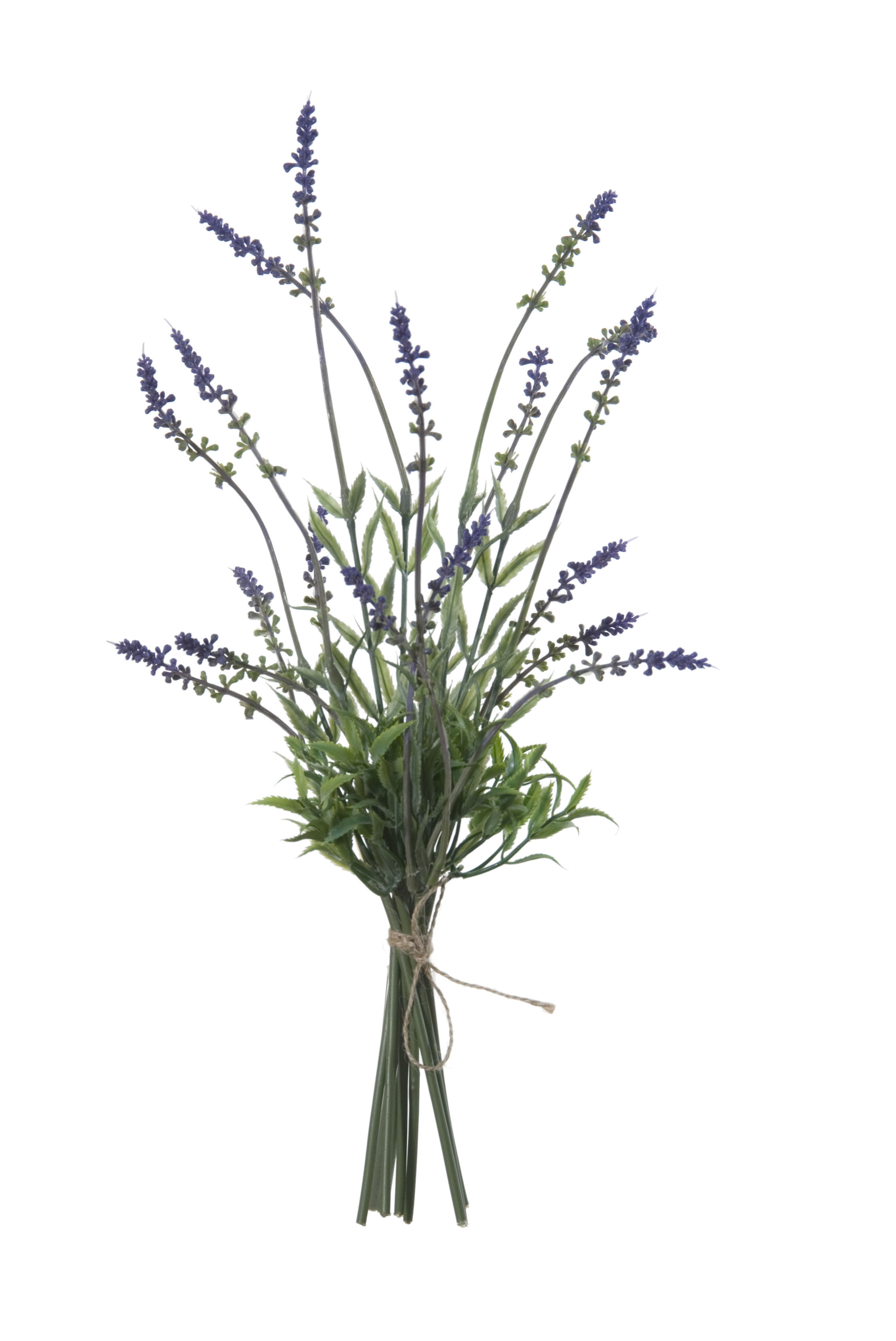 ATADO DE LAVANDA (43CM)/ MALVA REF: 06623.000 PRECIO: 4,25€ ATADO DE LAVANDA (43CM)/ MALVA REF: 06623.000 PRECIO: 4,25€