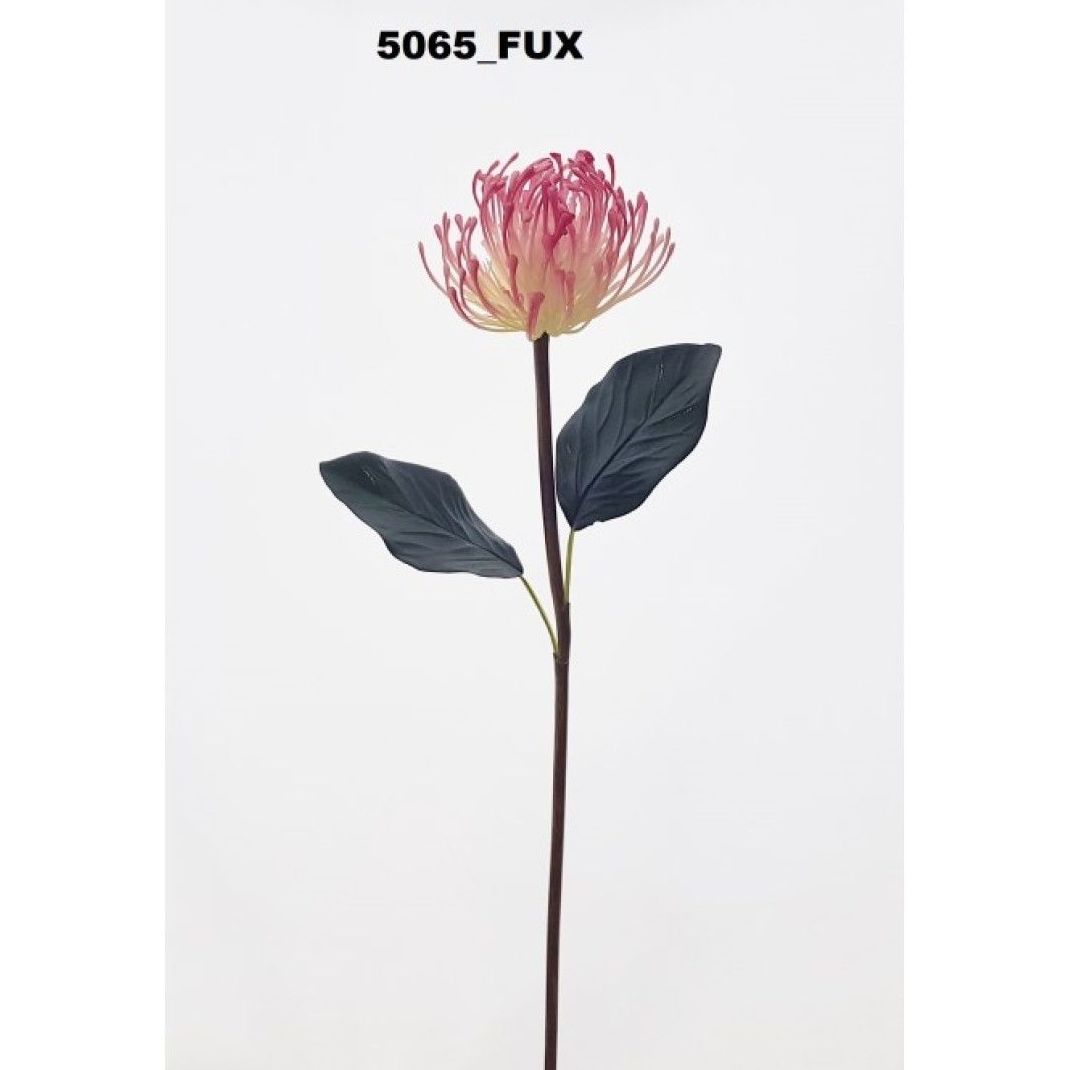 VARA CORDIFOLIUM. COLOR:FUXIA. REF.:5065 FUX. PRECIO: 1,20 € VARA CORDIFOLIUM. COLOR:FUXIA. REF.:5065 FUX. PRECIO: 1,20 €