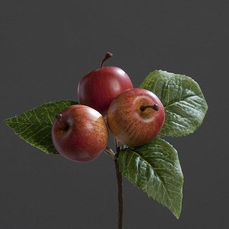 Frutas : CATÁLOGO de Fernando Gallego, S.C.P. Frutas : CATÁLOGO de Fernando Gallego, S.C.P.