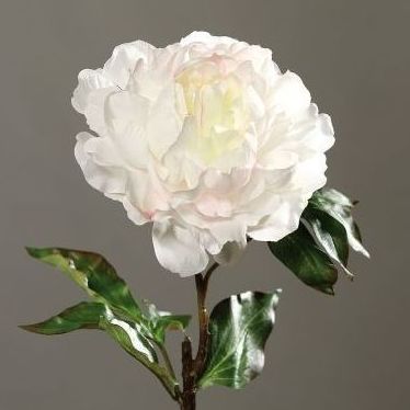 VARA PEONIA GRANDE (BLANCO) REF: 43454-15 PRECIO: 3,60€ VARA PEONIA GRANDE (BLANCO) REF: 43454-15 PRECIO: 3,60€