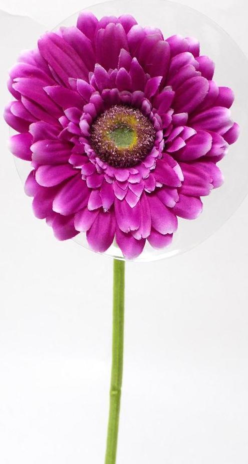 VARA GERBERA. COLOR:LILA REF.:30025 PRECIO:1,75 € VARA GERBERA. COLOR:LILA REF.:30025 PRECIO:1,75 €