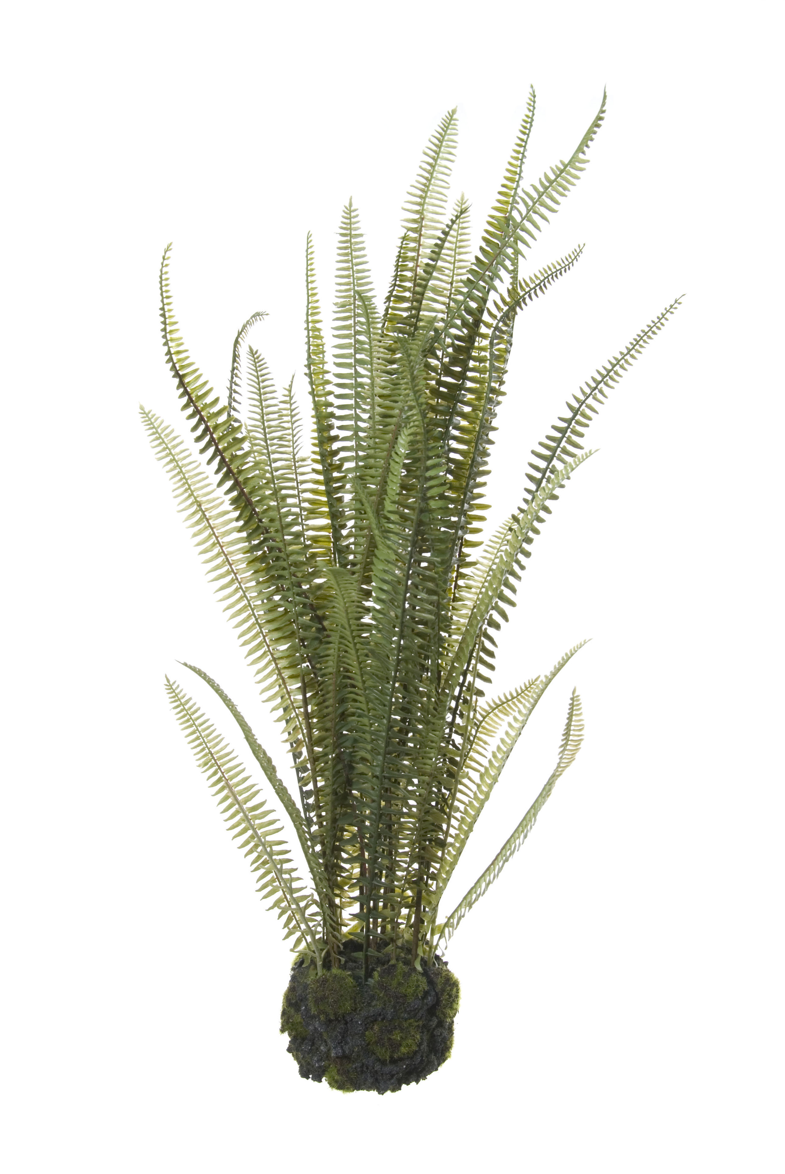 PLANTA HELECHO/TIERRA 70CM (VERDE) REF: 40505.070 PRECIO: 21,95€ PLANTA HELECHO/TIERRA 70CM (VERDE) REF: 40505.070 PRECIO: 21,95€