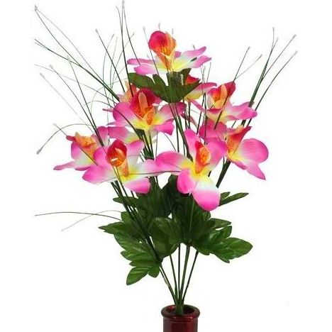 Pomo Cymbidium x 18 Color: Fuxia Ref.:8056 Pomo Cymbidium x 18 Color: Fuxia Ref.:8056