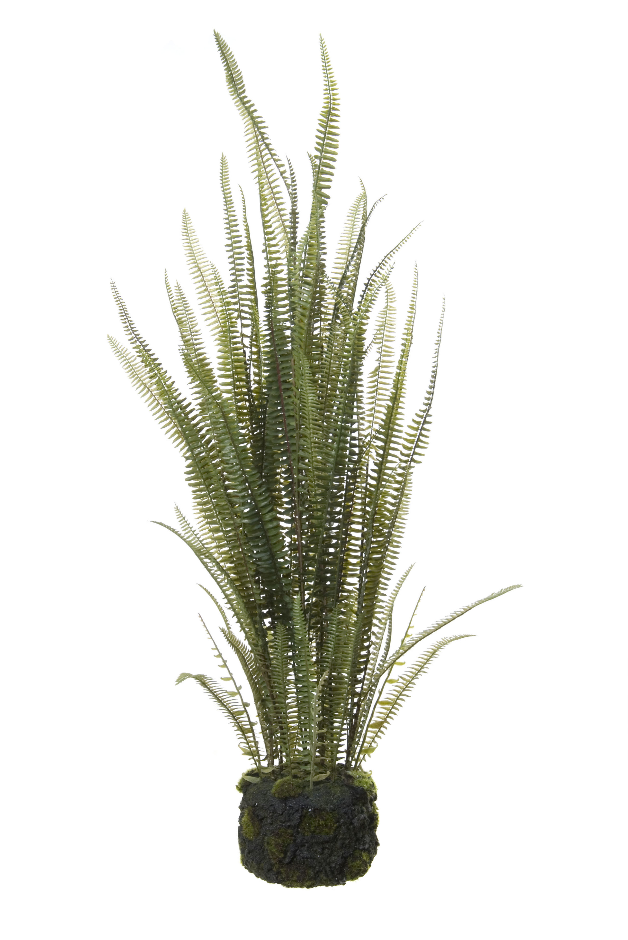PLANTA HELECHO/TIERRA 105CM (VERDE) REF: 40505.105 PRECIO: 40,50€ PLANTA HELECHO/TIERRA 105CM (VERDE) REF: 40505.105 PRECIO: 40,50€