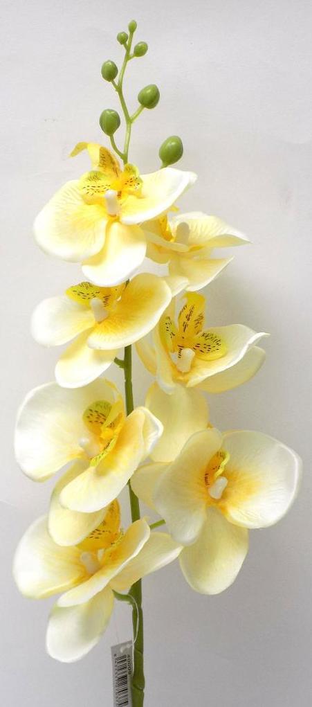 VARA ORQUIDEA PHALENOPSIS. COLOR:AMARILLO REF.:40009 AMARILLO PRECIO: 2,50 € VARA ORQUIDEA PHALENOPSIS. COLOR:AMARILLO REF.:40009 AMARILLO PRECIO: 2,50 €