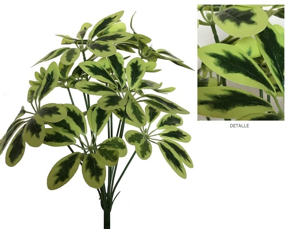 MATA SCHEFFLERAx12 (44cm)/ MATIZADA REF: AM-168 (MATIZADA) PRECIO: 3,95€ MATA SCHEFFLERAx12 (44cm)/ MATIZADA REF: AM-168 (MATIZADA) PRECIO: 3,95€