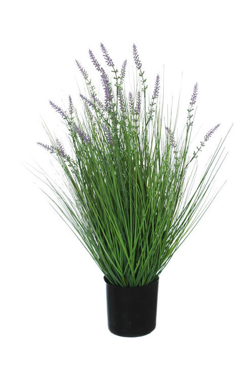 MACETA MATA DE LAVANDA (60CM)/ LAVANDA REF: 56010199/LAV PRECIO: 15,30€ MACETA MATA DE LAVANDA (60CM)/ LAVANDA REF: 56010199/LAV PRECIO: 15,30€