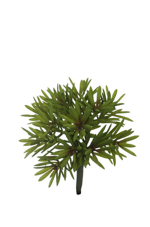 PICK (17CM) BOLA "EL ASIENTO DE LA SUEGRA" . COLOR: GREEN REF.:61504/GR PRECIO: 2,50 € PICK (17CM) BOLA "EL ASIENTO DE LA SUEGRA" . COLOR: GREEN REF.:61504/GR PRECIO: 2,50 €