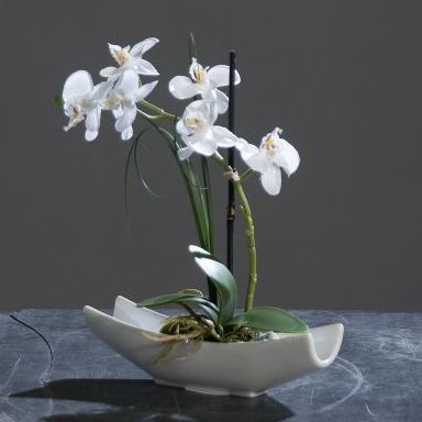 ORQUIDEA TELA EN BARQUITO PORCEL (27CM). COLOR: BLANCA REF.:60241-05 PRECIO:9,25 € ORQUIDEA TELA EN BARQUITO PORCEL (27CM). COLOR: BLANCA REF.:60241-05 PRECIO:9,25 €