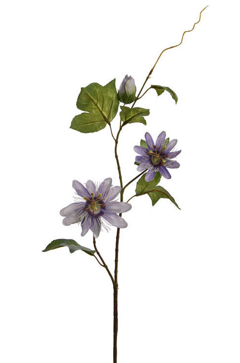 VARA PASSIFLORA x3 + HOJAS (70CM)/ LAVANDA REF: 40020178/LAV PRECIO: 2,30€ VARA PASSIFLORA x3 + HOJAS (70CM)/ LAVANDA REF: 40020178/LAV PRECIO: 2,30€