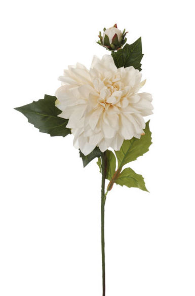 VARA DAHLIA. COLOR:CREMA REF.:30731/CR PRECIO:2,95 € VARA DAHLIA. COLOR:CREMA REF.:30731/CR PRECIO:2,95 €