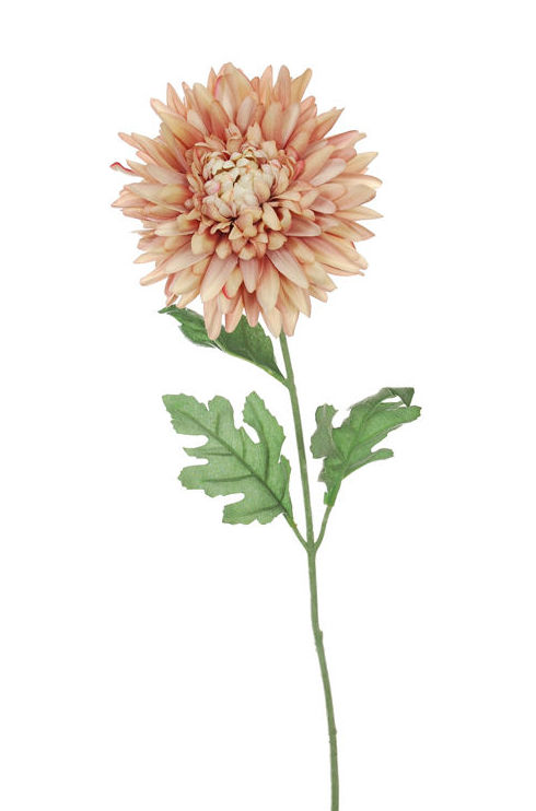 VARA MUM DE TERCIOPELO. COLOR:MELOCOTÓN REF.:35020025/PE PRECIO:2,10 € VARA MUM DE TERCIOPELO. COLOR:MELOCOTÓN REF.:35020025/PE PRECIO:2,10 €