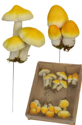 CAJA X8 PICK SETAS / YELLOW REF:83559/YEL PRECIO:5,50 € CAJA X8 PICK SETAS / YELLOW REF:83559/YEL PRECIO:5,50 €