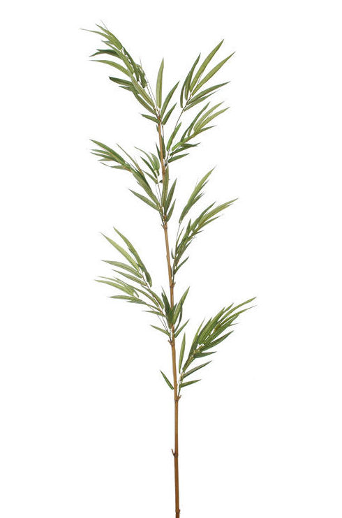 TRONCO BAMBU (180CM)/ VERDE REF: 12010111/GR PRECIO: 9,50€ TRONCO BAMBU (180CM)/ VERDE REF: 12010111/GR PRECIO: 9,50€
