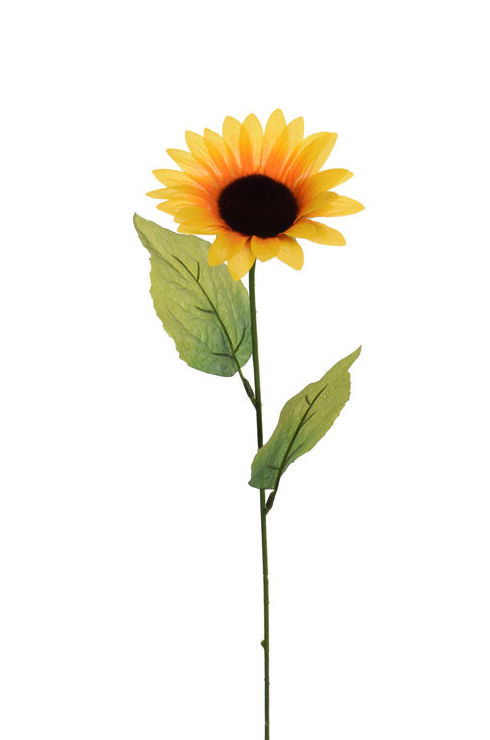 PQTEx12 VARAS DE GIRASOL (61CM)/ AMARILLO REF: 30050009/YEL PRECIO: 9,00€/PQTE (0,75€/UD) PQTEx12 VARAS DE GIRASOL (61CM)/ AMARILLO REF: 30050009/YEL PRECIO: 9,00€/PQTE (0,75€/UD)