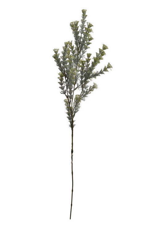 VARA ASPARAGUS/ VERDE REF: 12060027/GR PRECIO: 1,95€ VARA ASPARAGUS/ VERDE REF: 12060027/GR PRECIO: 1,95€