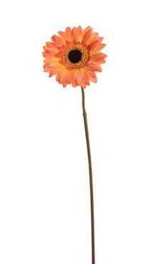 VARA DE GERMINI (36CM)/ NARANJA REF: 40170002/OR PRECIO: 1,05€ VARA DE GERMINI (36CM)/ NARANJA REF: 40170002/OR PRECIO: 1,05€