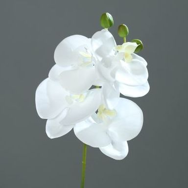 ORQUIDEA TELA / BARQUITO PLASTICO (28CM). COLOR:BLANCA REF.:60279-05 PRECIO:6,10 € ORQUIDEA TELA / BARQUITO PLASTICO (28CM). COLOR:BLANCA REF.:60279-05 PRECIO:6,10 €