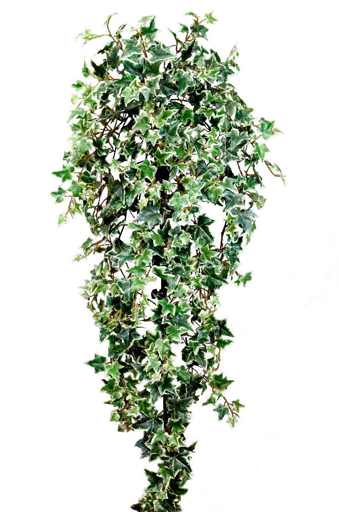 MATA COLGANTE HIEDRA MATIZADA TELA (1,30 M) COLOR:VERDE REF.:BXC034812 PRECIO:23,60 € MATA COLGANTE HIEDRA MATIZADA TELA (1,30 M) COLOR:VERDE REF.:BXC034812 PRECIO:23,60 €