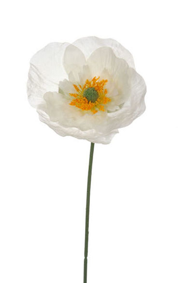 PQTE x12 VARAS DE AMAPOLA (44CM)/ CREMA REF: 30789/CR PRECIO: 10,80€ (0,90€/UD) PQTE x12 VARAS DE AMAPOLA (44CM)/ CREMA REF: 30789/CR PRECIO: 10,80€ (0,90€/UD)