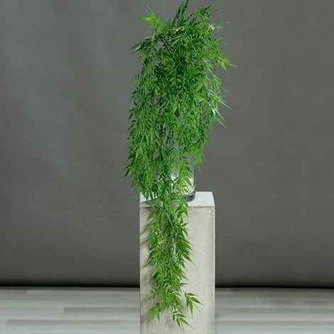 COLGANTE BAMBÚ PLASTICO (VERDE) REF.:PS881799 PRECIO:3,75 € COLGANTE BAMBÚ PLASTICO (VERDE) REF.:PS881799 PRECIO:3,75 €
