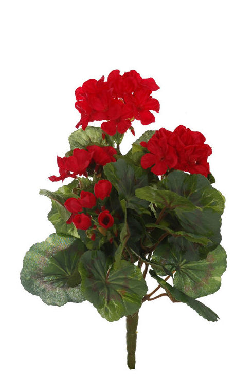 MATA GERANIO X5. COLOR:ROJO REF.:61490/RE PRECIO:3,50 € MATA GERANIO X5. COLOR:ROJO REF.:61490/RE PRECIO:3,50 €