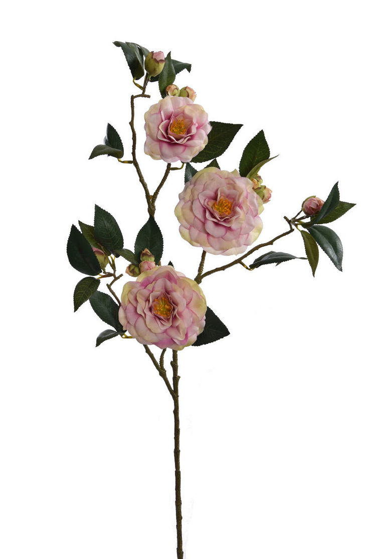 VARA CAMELIA X3 GRD. 85 CM. COLOR:ROSA-VERDE REF.:LT.RM0004PIGR PRECIO:6,95 € VARA CAMELIA X3 GRD. 85 CM. COLOR:ROSA-VERDE REF.:LT.RM0004PIGR PRECIO:6,95 €