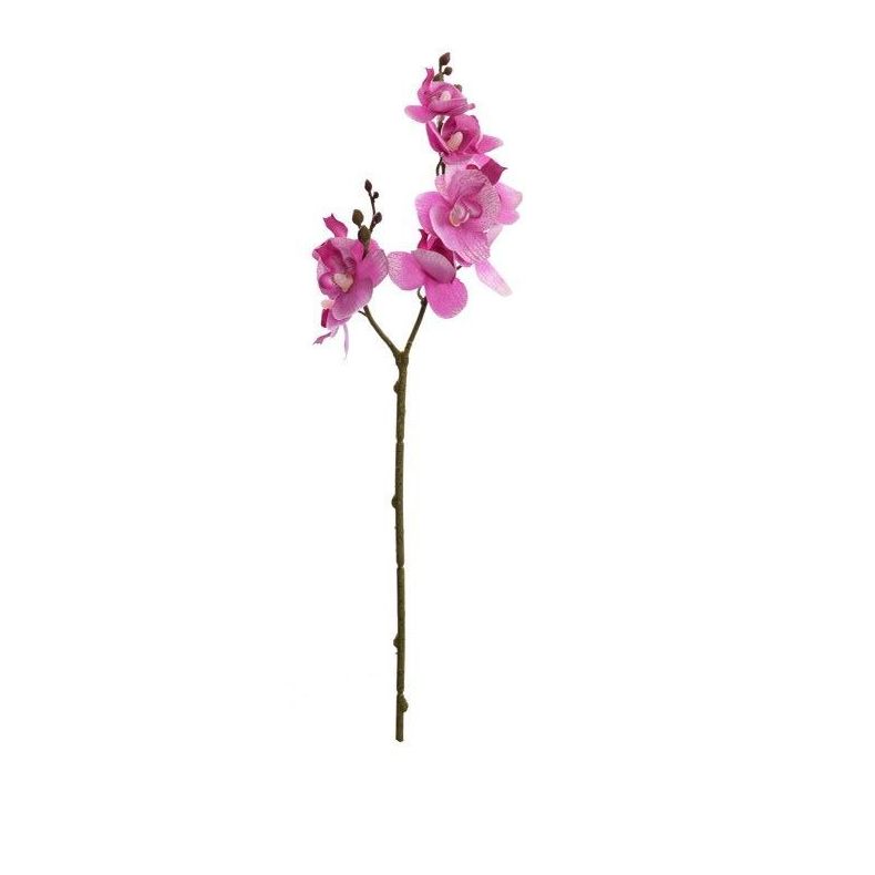 VARA CORTA ORQUIDEA X2 (42CM)/ LAVANDA REF: 40010054/LAV PRECIO: 1,60€ VARA CORTA ORQUIDEA X2 (42CM)/ LAVANDA REF: 40010054/LAV PRECIO: 1,60€
