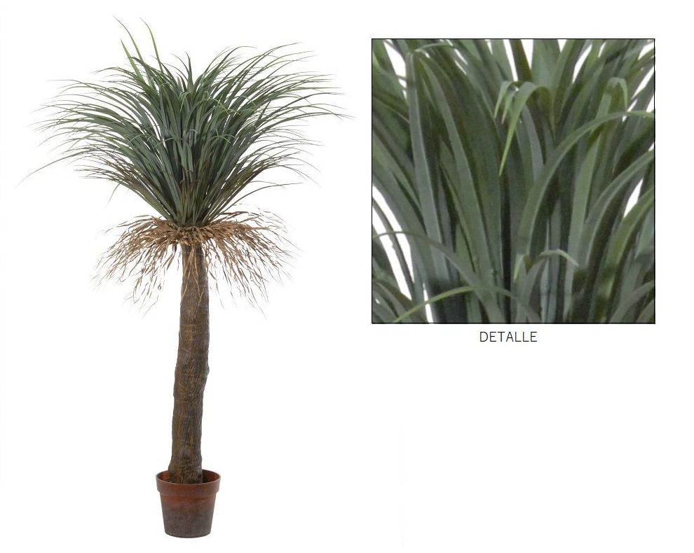 PLANTA DE YUCCA C/MACETA (150CM)/ VERDE REF: 40149.150 PRECIO: 145,00€ PLANTA DE YUCCA C/MACETA (150CM)/ VERDE REF: 40149.150 PRECIO: 145,00€