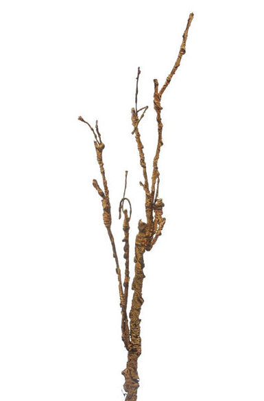 RAMA MEDIANA. COLOR:MARRÓN REF.:12852/BR PRECIO: 2,00 € RAMA MEDIANA. COLOR:MARRÓN REF.:12852/BR PRECIO: 2,00 €