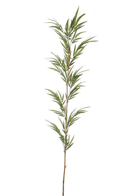 CAÑA DE BAMBOO C/HOJAS (210CM)/ VERDE REF: 12010112/GR PRECIO: 12,00€ CAÑA DE BAMBOO C/HOJAS (210CM)/ VERDE REF: 12010112/GR PRECIO: 12,00€