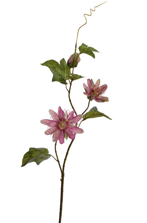 VARA PASSIFLORA x3 + HOJAS (70CM)/ ROSA REF: 40020178/PI PRECIO: 2,30€ VARA PASSIFLORA x3 + HOJAS (70CM)/ ROSA REF: 40020178/PI PRECIO: 2,30€