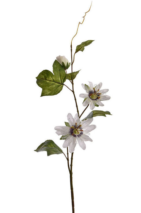 VARA PASSIFLORA x3 + HOJAS (70CM)/ CREMA REF: 40020178/CR PRECIO: 2,30€ VARA PASSIFLORA x3 + HOJAS (70CM)/ CREMA REF: 40020178/CR PRECIO: 2,30€