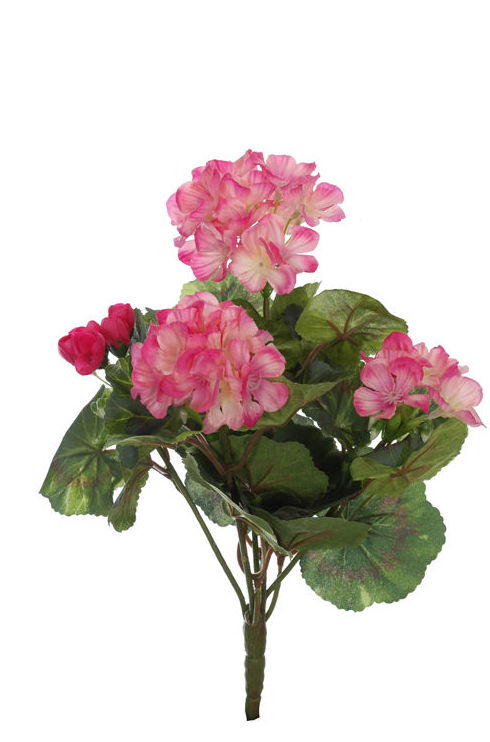MATA GERANIO X5. COLOR:ROSA REF.:61490/PI PRECIO: 3,50 € MATA GERANIO X5. COLOR:ROSA REF.:61490/PI PRECIO: 3,50 €
