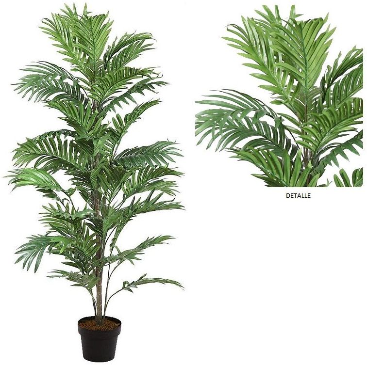 PALMERA ARECA (D.57xH.122CM) EN MACETA (D.18xH.15CM) REF: BXM065601M PRECIO:45,00€ PALMERA ARECA (D.57xH.122CM) EN MACETA (D.18xH.15CM) REF: BXM065601M PRECIO:45,00€