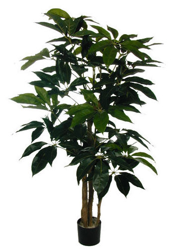ARBOL SCHEFLERA 145CM (VERDE) REF.:70457/GR PRECIO: 100,25 € ARBOL SCHEFLERA 145CM (VERDE) REF.:70457/GR PRECIO: 100,25 €