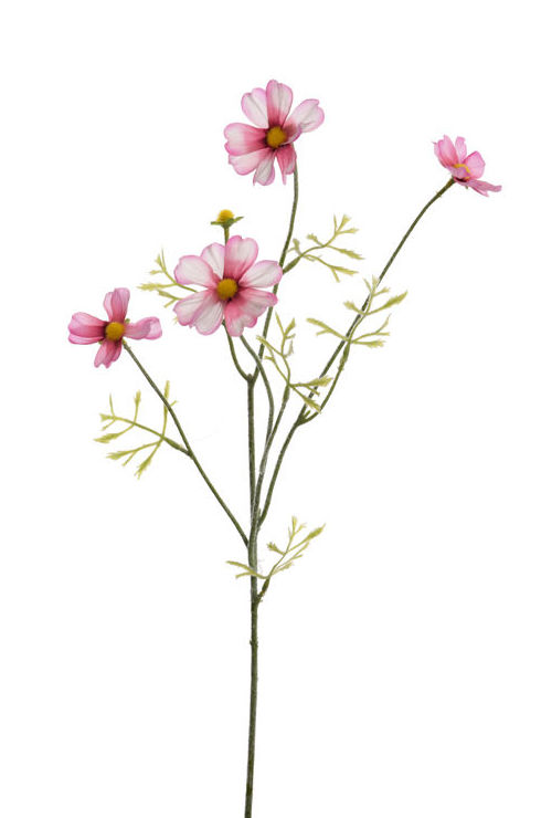 VARA COSMOS (62CM) COLOR:BEAUTY REF.:40020065/BE PRECIO:1,75 € VARA COSMOS (62CM) COLOR:BEAUTY REF.:40020065/BE PRECIO:1,75 €