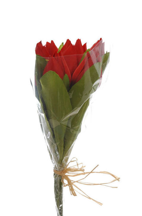 ATADO TULIPAN X7 (30CM)/ RED REF: 54023/RE PRECIO: 3,60 ATADO TULIPAN X7 (30CM)/ RED REF: 54023/RE PRECIO: 3,60
