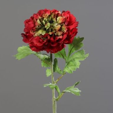 VARA RANUNCULO. COLOR:ROJO REF.:43404-12 PRECIO: 2,40 € VARA RANUNCULO. COLOR:ROJO REF.:43404-12 PRECIO: 2,40 €