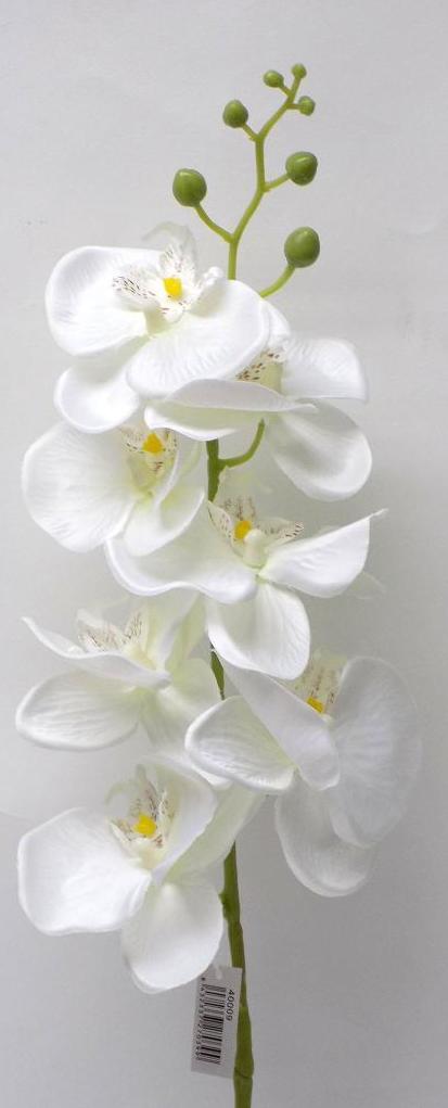 VARA ORQUIDEA PHALENOPSIS. COLOR:BLANCA REF.:40009 BLANCO PRECIO:2,50 € VARA ORQUIDEA PHALENOPSIS. COLOR:BLANCA REF.:40009 BLANCO PRECIO:2,50 €