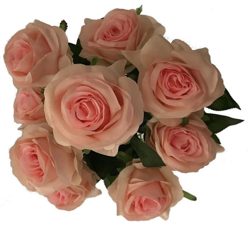 RAMO DE ROSASx9 41CM/ ROSA REF: AM-212 (ROSA) PRECIO: 4,50€ RAMO DE ROSASx9 41CM/ ROSA REF: AM-212 (ROSA) PRECIO: 4,50€