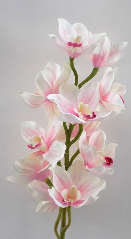 VARA CIMBIDIUM (TELA) X10. COLOR:ROSA REF.:4835 ROSA PRECIO:4,60 € VARA CIMBIDIUM (TELA) X10. COLOR:ROSA REF.:4835 ROSA PRECIO:4,60 €