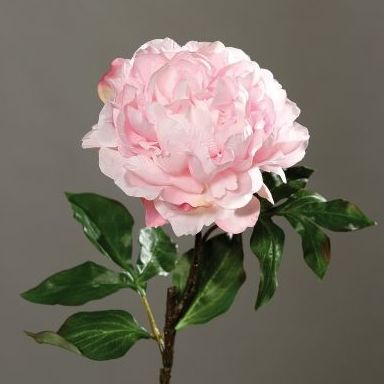 VARA PEONIA GRANDE. COLOR:ROSA REF.:43454-31 PRECIO: 3,60 € VARA PEONIA GRANDE. COLOR:ROSA REF.:43454-31 PRECIO: 3,60 €