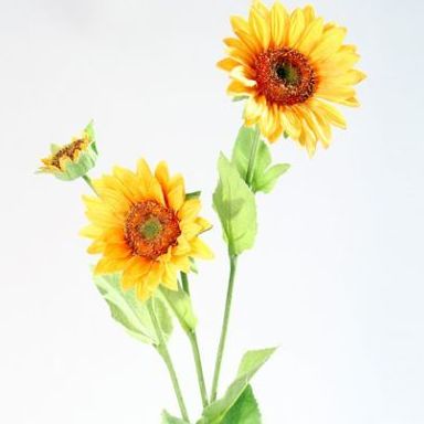 VARA GIRASOL X3. COLOR: AMARILLO REF.:14592-04 PRECIO:2,10 € VARA GIRASOL X3. COLOR: AMARILLO REF.:14592-04 PRECIO:2,10 €