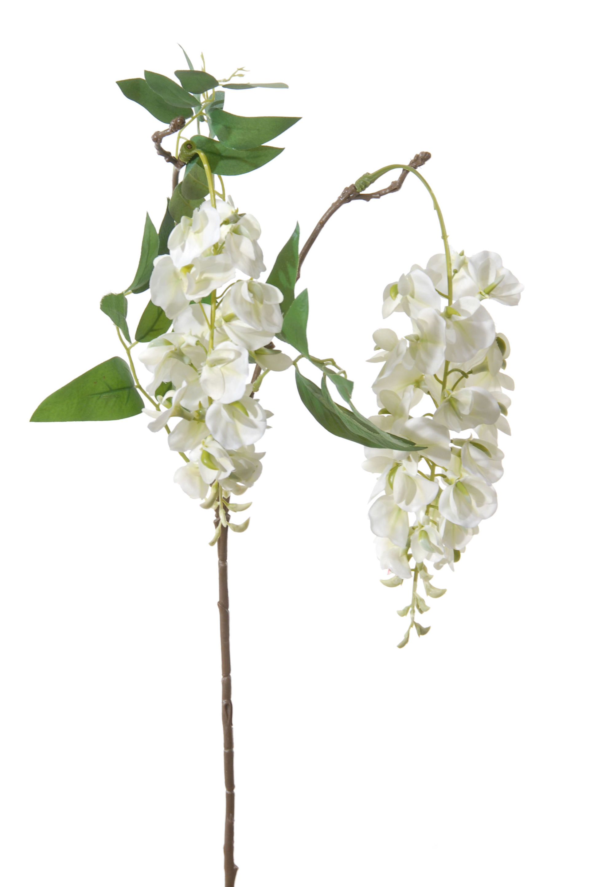 VARA DE WISTERIA (95CM)/ BLANCO REF: 82034.403 PRECIO: 4,05€ VARA DE WISTERIA (95CM)/ BLANCO REF: 82034.403 PRECIO: 4,05€
