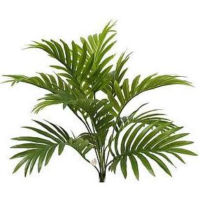MATITA DE ARECA PLAS. S/MACETERO (46 CM.) COLOR: VERDE REF.:BXC066694 PRECIO:6,10 € MATITA DE ARECA PLAS. S/MACETERO (46 CM.) COLOR: VERDE REF.:BXC066694 PRECIO:6,10 €