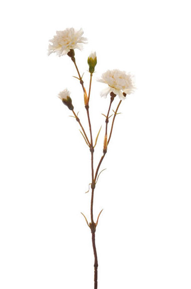 VARA CLAVELLINA (48CM) COLOR:CREMA REF.:41638/CR PRECIO:1,45 € VARA CLAVELLINA (48CM) COLOR:CREMA REF.:41638/CR PRECIO:1,45 €
