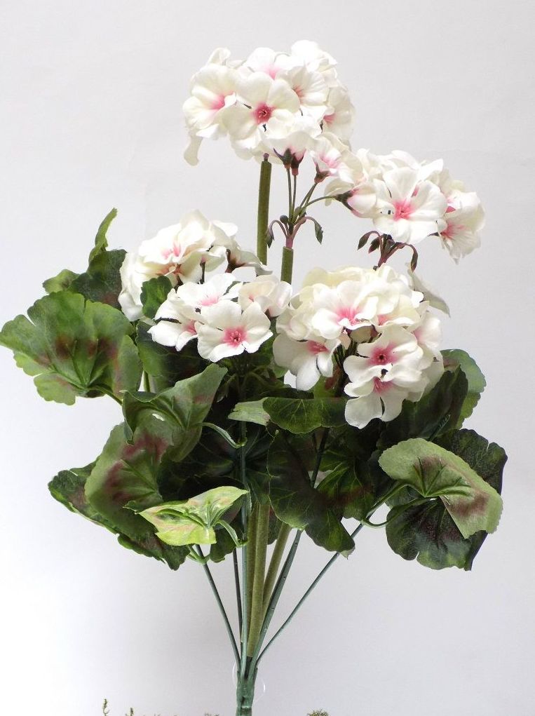 POMO GERANIO (50CM). COLOR:CREMA REF.:40000 CR PRECIO: 4,75 € POMO GERANIO (50CM). COLOR:CREMA REF.:40000 CR PRECIO: 4,75 €